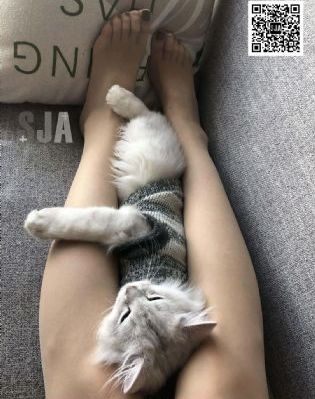 国产快开式反应釜厂家_蓝光韩国电影在线观看