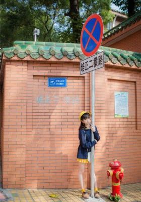 欧美复古蓬蓬裙_蓝光BD在线观看