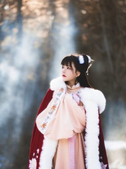 女主从小被c到大h辣文凤凰女_1080P超清在线观看